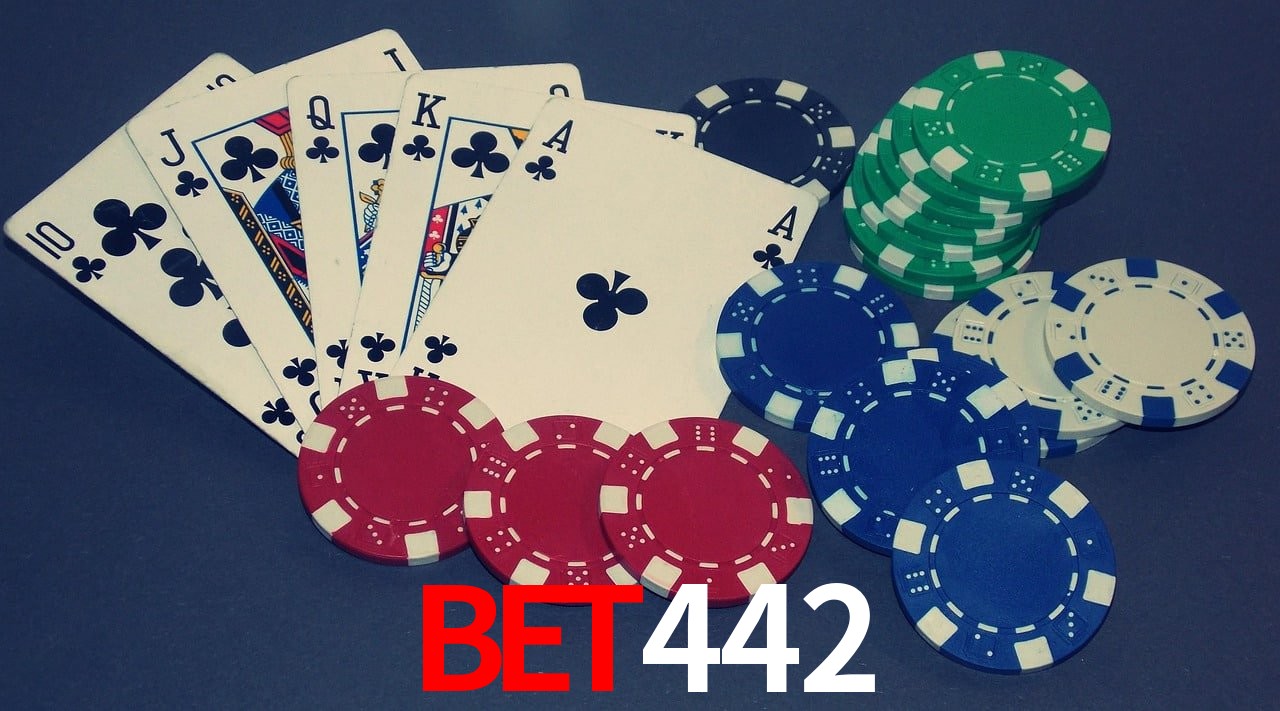 Casino VIP bet442